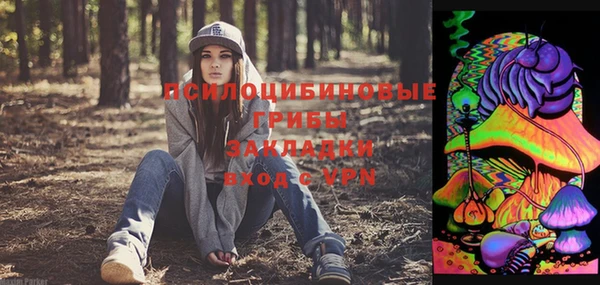 тгк Армянск