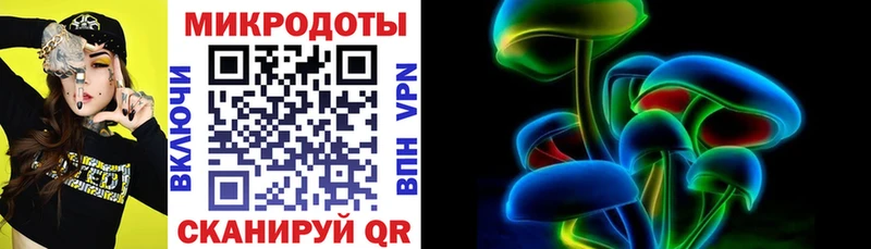 Псилоцибиновые грибы Psilocybine cubensis  KRAKEN   Талица 